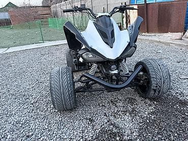 чоп матор: Квадроцикл Бензин, 250 куб. см, Взрослый — 7