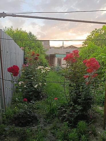 76: 🏡 Продаётся уютный кирпичный дом в районе Аламединского рынка 📍 — 2