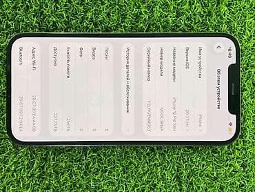 16 iphone: IPhone 12 Pro Max, 256 ГБ, Графит — 2