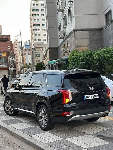 range river: Hyundai Palisade: 2020 г., 2.2 л, Автомат, Дизель, Внедорожник — 4