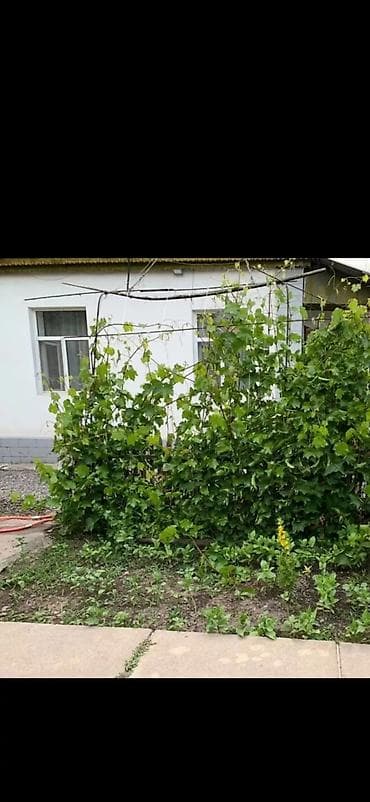 65 м², 3 комнаты, Забор, огорожен — 1