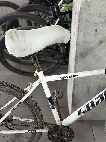 Шаардык велосипеддер: Шаардык велосипед, Велосипед алкагы M (156 - 178 см) — 2