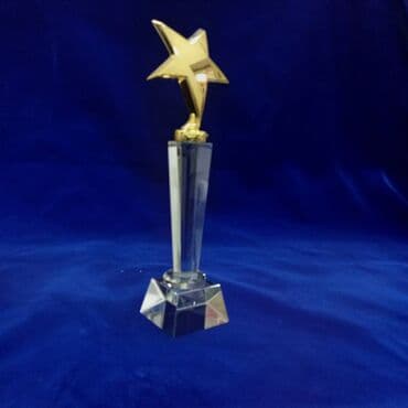 монеты разных стран: ✅ Хрустальные статуэтки ✅Бесплатная табличка ✅Бесплатный дизайн — 2