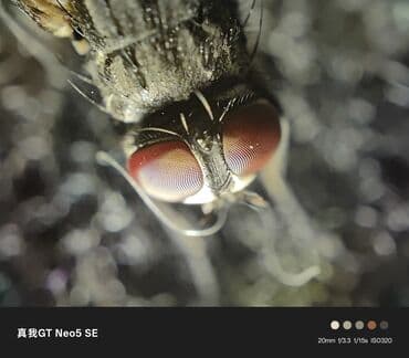 вайфай роутер о: Realme GT Neo5 SE, Б/у, 256 ГБ, цвет - Черный — 5