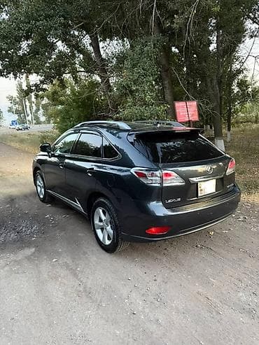daf 45 150 turbo: Lexus RX: 2010 г., 3.5 л, Автомат, Бензин, Кроссовер — 4