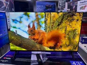 домашний антенна для телевизора: Телик Телевизоры Samsung Android 13 с голосовым управлением, 43 — 19