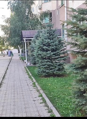 Батирлер: 1 бөлмө, 43 м², Туңгуч мкр Жеке план, 9 кабат, Эски ремонт — 8