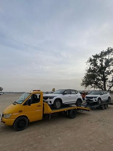 арзан ат: С прямой платформой — 1