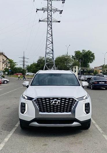 Hyundai Palisade: 2020 г., 2.2 л, Автомат, Дизель, Кроссовер