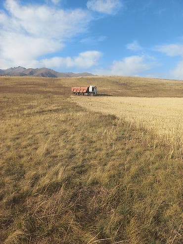 волва тегач: Грузовик, Volvo, Стандарт — 3