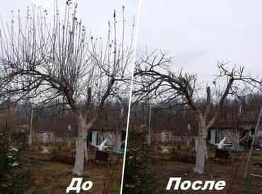 установка газового оборудования бишкек: ОБРЕЗКА САДОВЫХ ДЕРЕВЬЕВ ФОРМИРОВКА ПИЛИМ ДРОВА ВОЗМОЖНО ВЫЕЗД ПО — 3