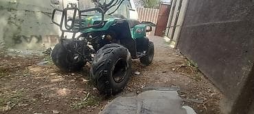 Унаа: Квадроцикл Бензин, 110 куб. см, Балдар үчүн — 2