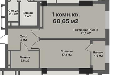 жк гравити: 1 комната, 60 м², Элитка — 2