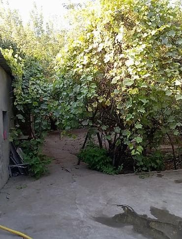 Недвижимость: Город Бишкек. район Кызыл- Аскер Продаётся дом с — 3