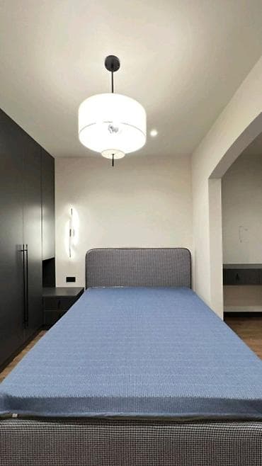 binar: 2 комнаты, 46 м², ул. Горького / Алматинка Элитка, 6 этаж — 4