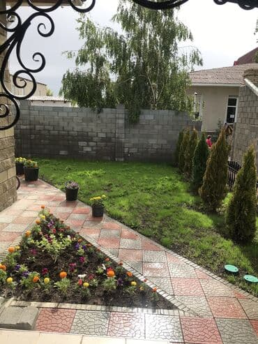 частный дом без хозяина: Коттедж, Клуб Отель Royal Beach ЦО Royal beach, Чок-Тал, Барбекю, Баскетбольная площадка, Бассейн — 5