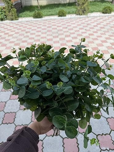 Подсвечники: В Аренду или на продажу!

Цветы,свечи и зеркало 
От 1500с ! — 7