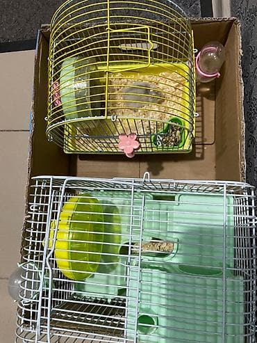 клетка для крыс: Хомячки джунгарики + комплект клеток и аксессуаров Предлагаются — 3