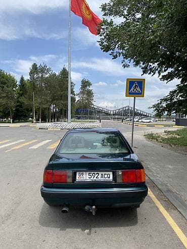 Audi 100: 1994 г., Кол менен иштөөчү, Бензин, Седан — 6