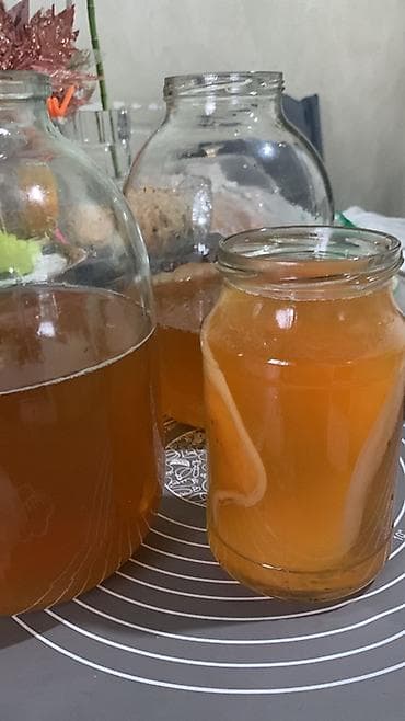 для кожи: Домашний чайный гриб (SCOBY) с рабочей закваской для приготовления — 2