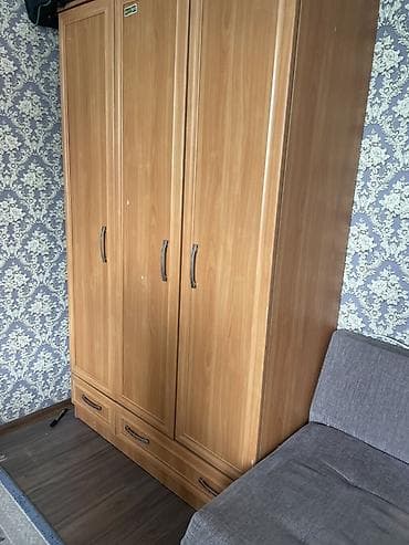 шванери: Шифоньер, шкаф для одежды, Прямой, ЛДСП — 1