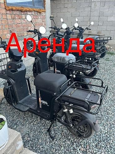 rex sprinter: Аренда Электровелосипеда — 1