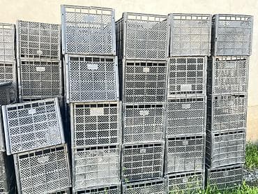 пищевая емкость для воды: Пластиковый Ящик — 3