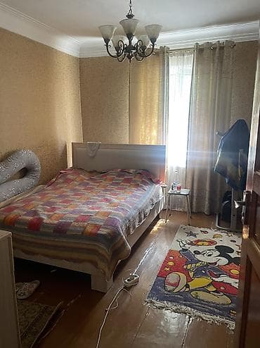 Продаю 2 дома на одном участке и действующий бизнес продовольственный