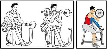 скамья скотта: Скамья Парта Скотта для бицепса 🔥 ▫️-Отличный тренажер для бицепса и — 2