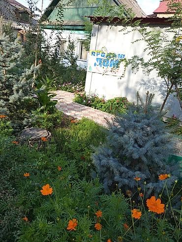 электричества: 4 соток, Для строительства, Красная книга, Договор купли-продажи — 8