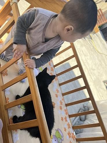 колеска: Люлька, Колыбель, Дерево, цвет - Коричневый — 2