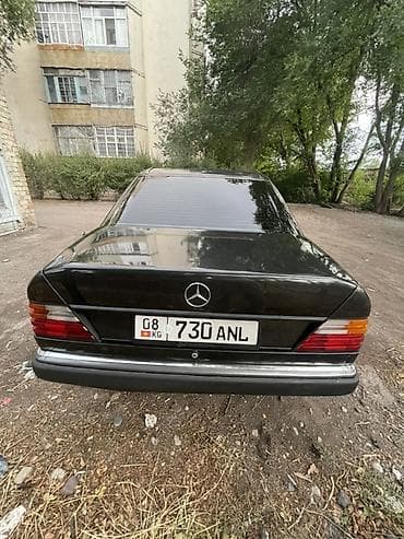 Mercedes-Benz W124: 1989 г., 2 л, Кол менен иштөөчү, Газ, Седан — 6