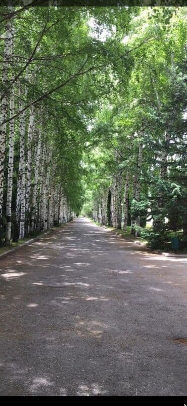 сдается в аренду гостиница: 30 м², С мебелью — 12