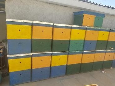 пчелопавильоны: Ящик — 8