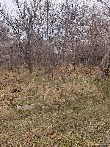 ремонт домов: 6 соток — 3