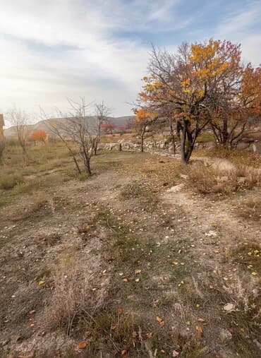 5 соток, Для строительства, Красная книга