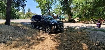 на шею подушка: Hyundai Palisade: 2019 г., 2.2 л, Автомат, Дизель, Кроссовер — 5