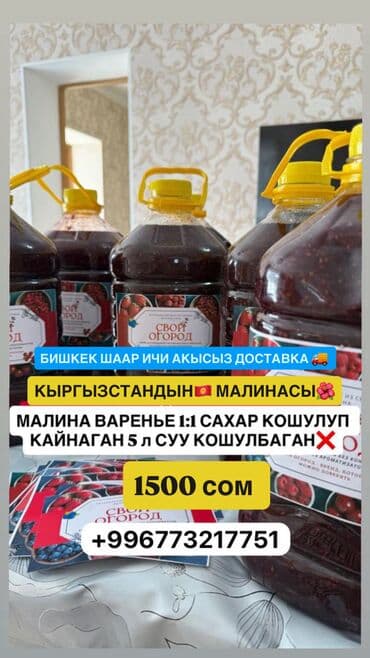 малина кочотор: Малина Оптом, Бесплатная доставка — 3