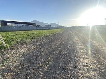 участок на авто: 7 соток, Для строительства, Красная книга, Договор купли-продажи — 5