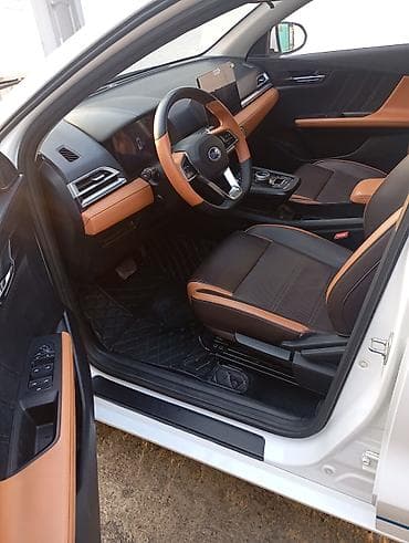 trueno 86: BYD E2: 2021 г., Автомат, Электромобиль, Хэтчбэк — 6