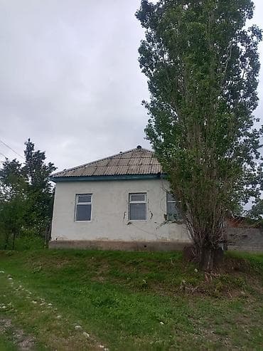 Жилой дом с придомовым участком и хозяйственными постройками. Иссык — 8