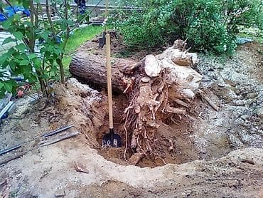 Услуга: корчевание пней и удаление корней на участке - Полное at lalafo.kg Услуга: корчевание пней и удаление корней на участке - Полное