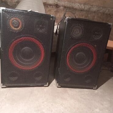 студийное оборудование: Акустическая система с черным корпусом и металлической сеткой — 5