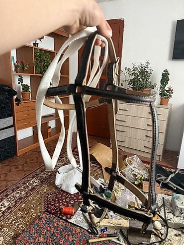 Жугон сатылат бассы 5000