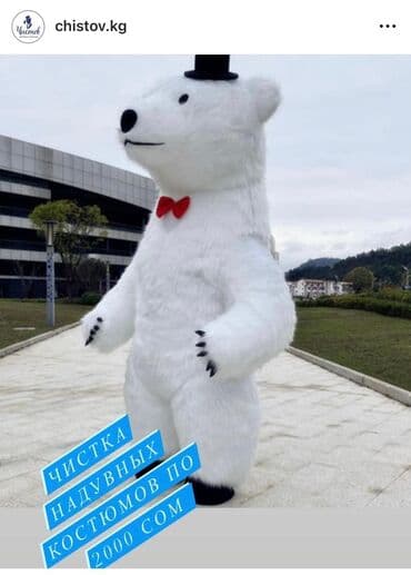 Кийимдерди жана үй текстилин химиялык тазалоо