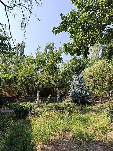 загородный дом с бассейном: Продаётся дачный дом с участком и садом. - Кирпичный одноэтажный дом — 2