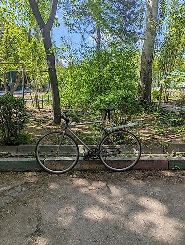 шимано: Грей ф12 лоу про Ростовка 55 (L) Виллсет: обода veloline plusque — 2