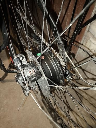 Балдар үчүн велосипеддер: Электрдик велосипеддер — 4