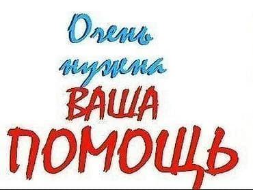 щенки лайки: ✨Откликнитесь, пожалуйста, те, кто может помочь!✨Ситуация такая: Живём — 1