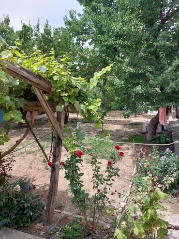 село ивановка дом: Времянка, 27 м², 3 комнаты, Собственник, Старый ремонт — 1